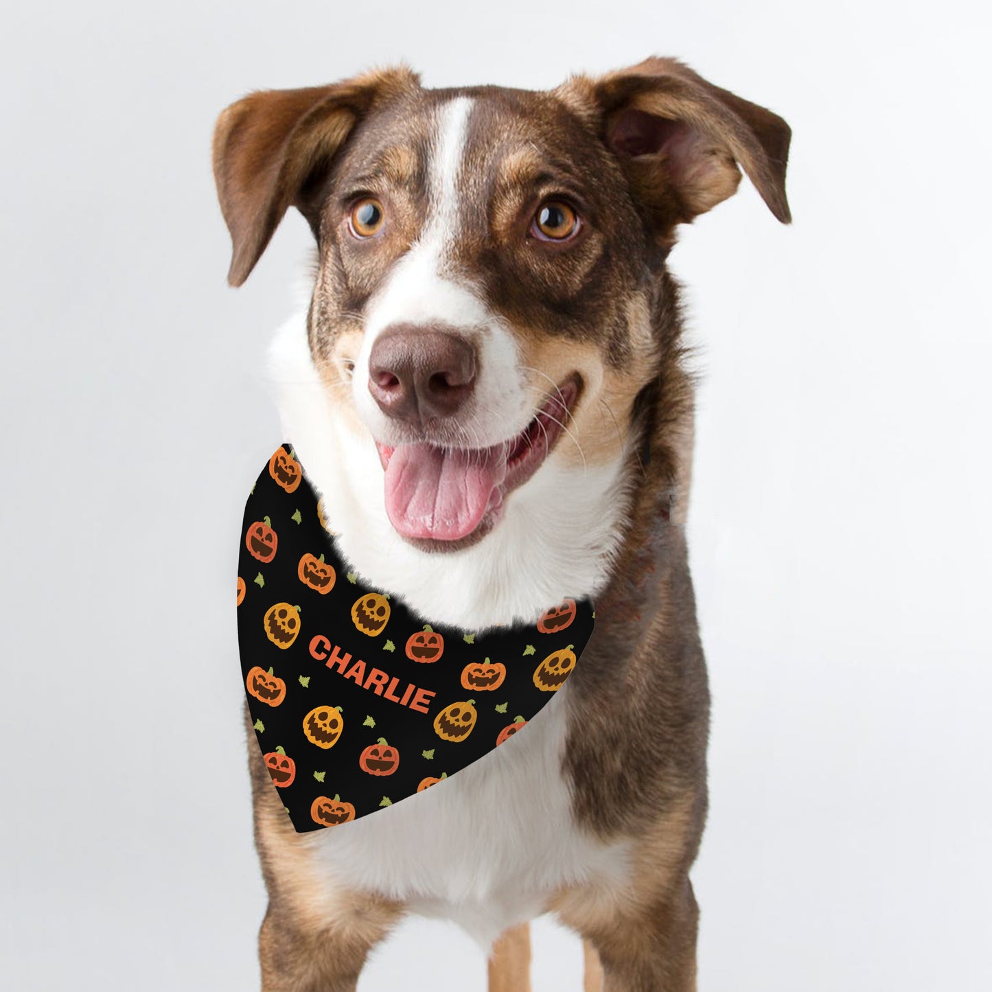 Personalised Pumpkin Patch Dog Bandana - image 2