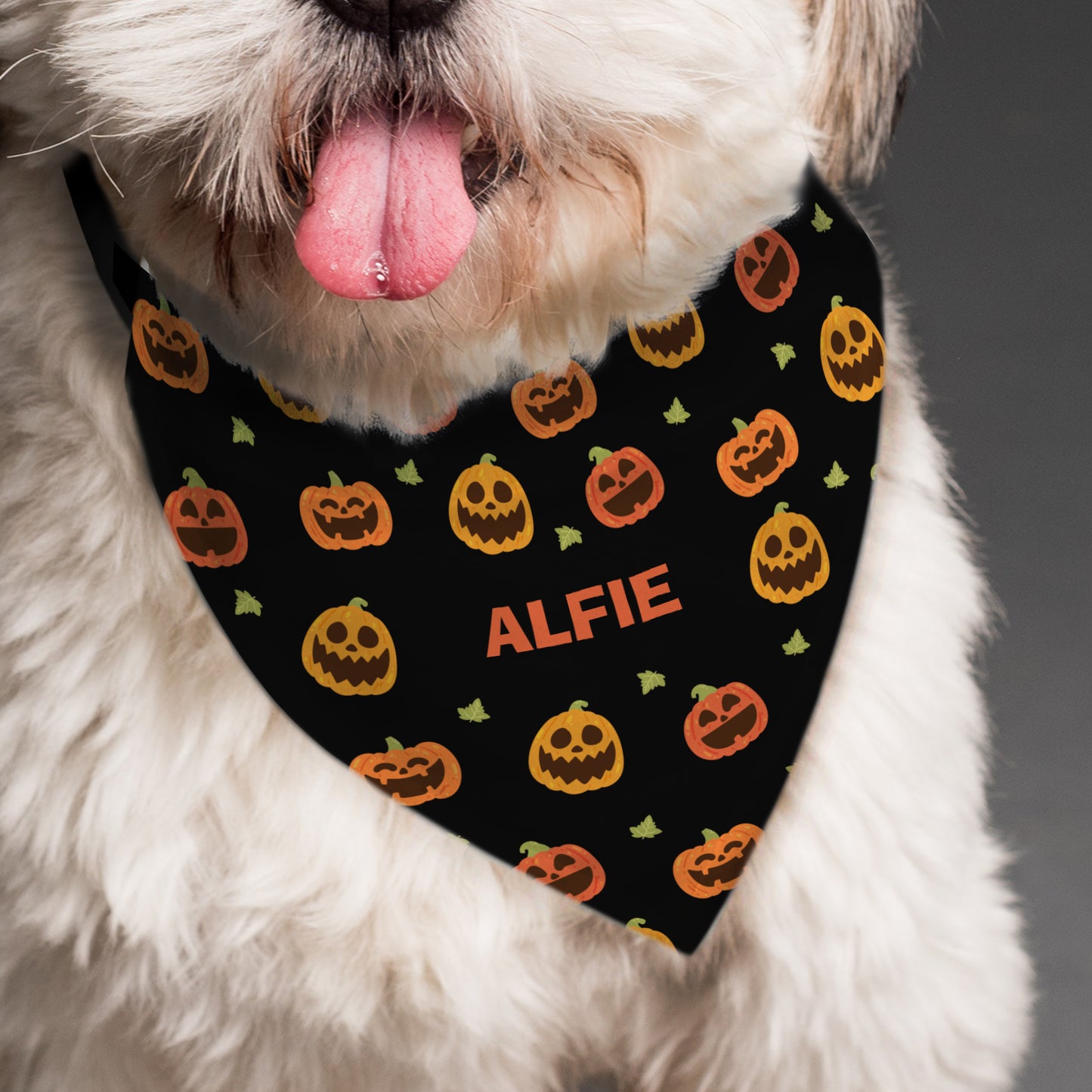 Personalised Pumpkin Patch Dog Bandana - image 4