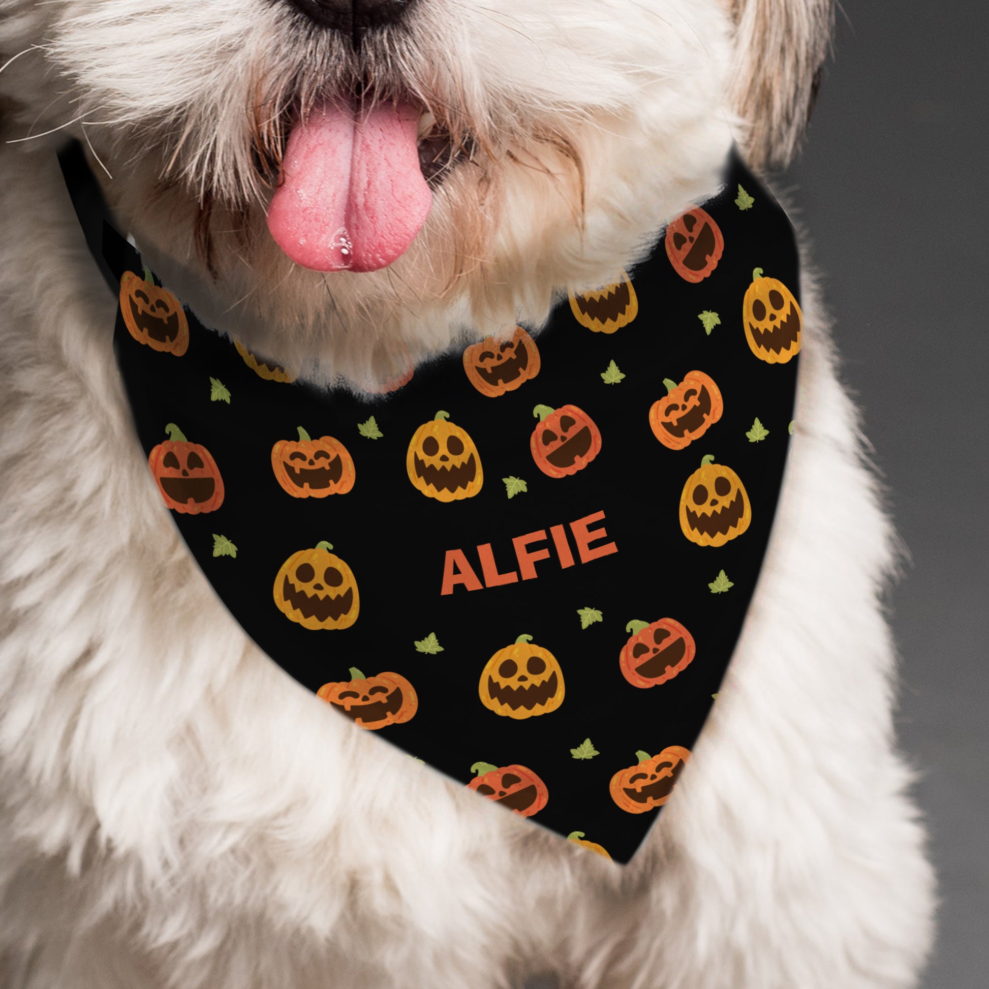 Personalised Pumpkin Patch Dog Bandana - image 4