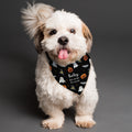 Personalised Halloween Dog Bandana from Heartfelt Gifts