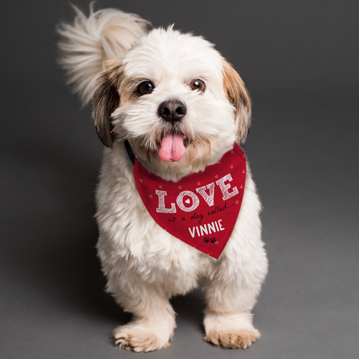 Personalised Love is... Dog Bandana from Heartfelt Gifts
