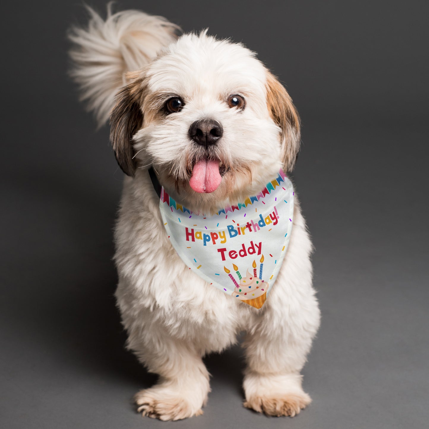 Personalised Happy Birthday Dog Bandana - image 2