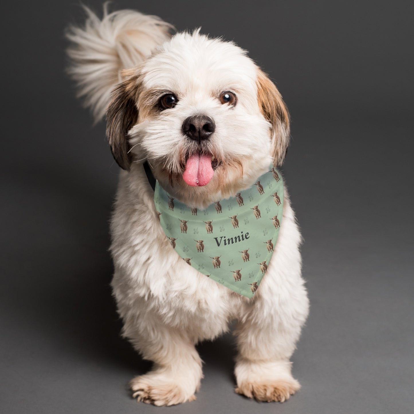 Personalised Highland Cow Dog Bandana – Pet Gift for Dog Owners - image 2