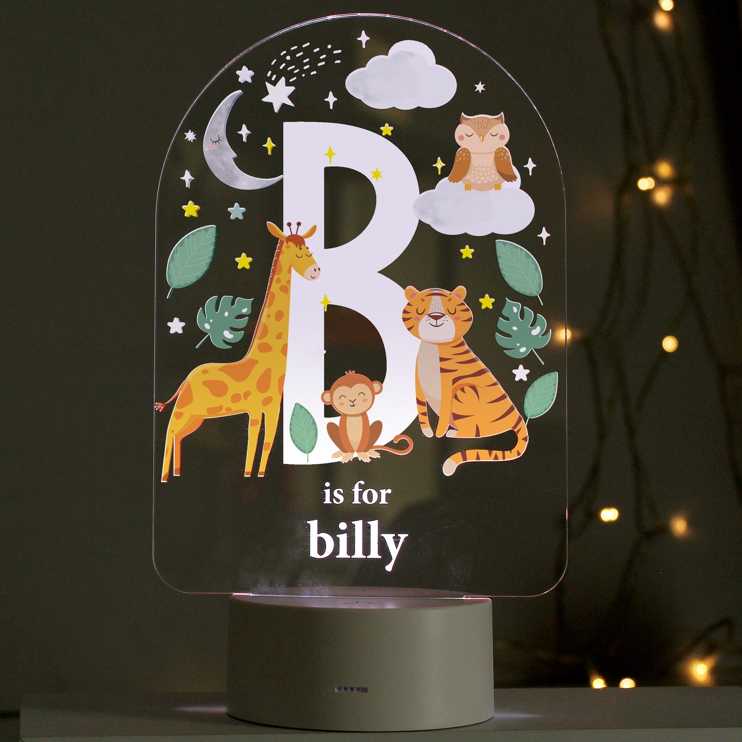 Personalised Animal Alphabet LED Colour Changing Night Light - image 7