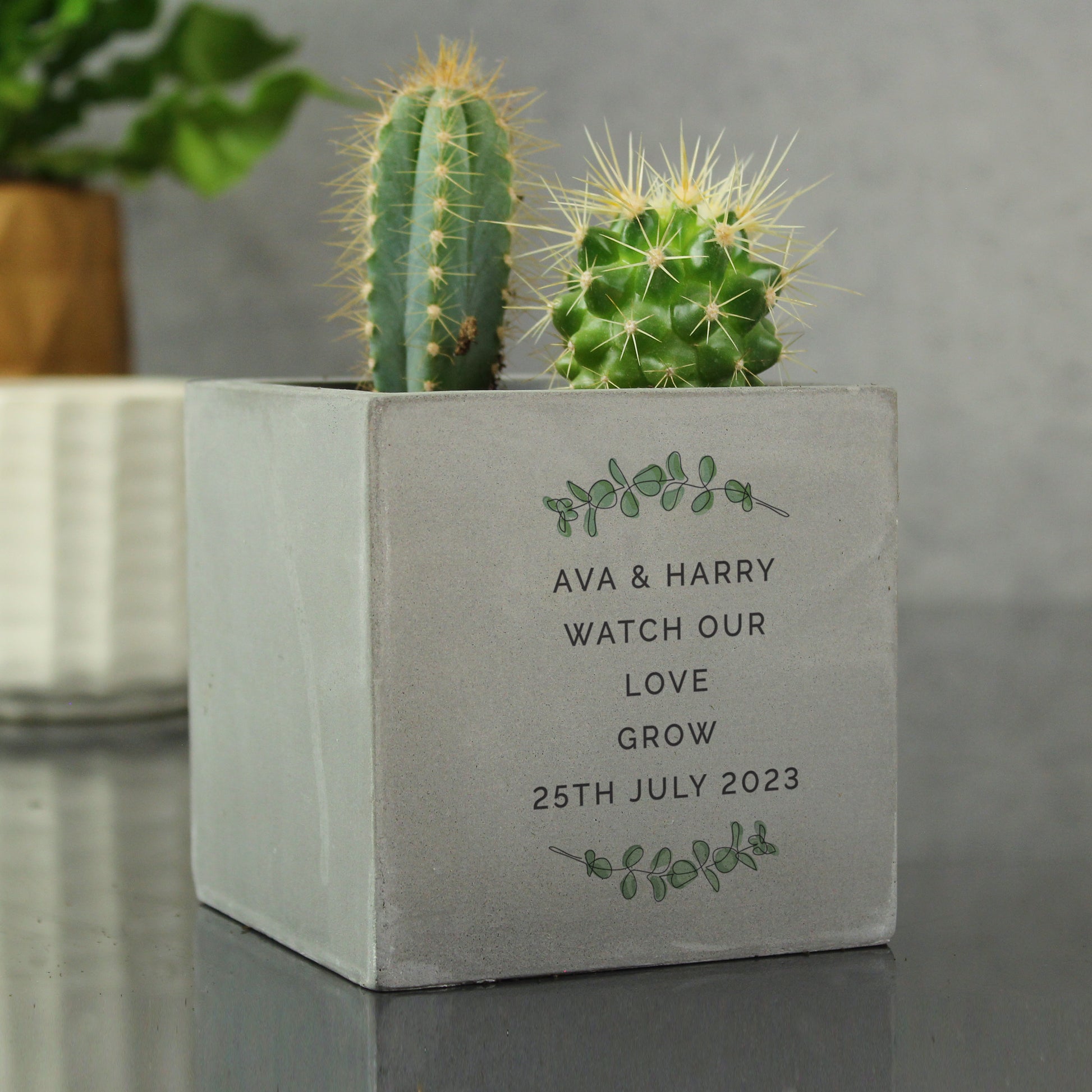 Personalised Botanical Concrete Plant Pot - image 7