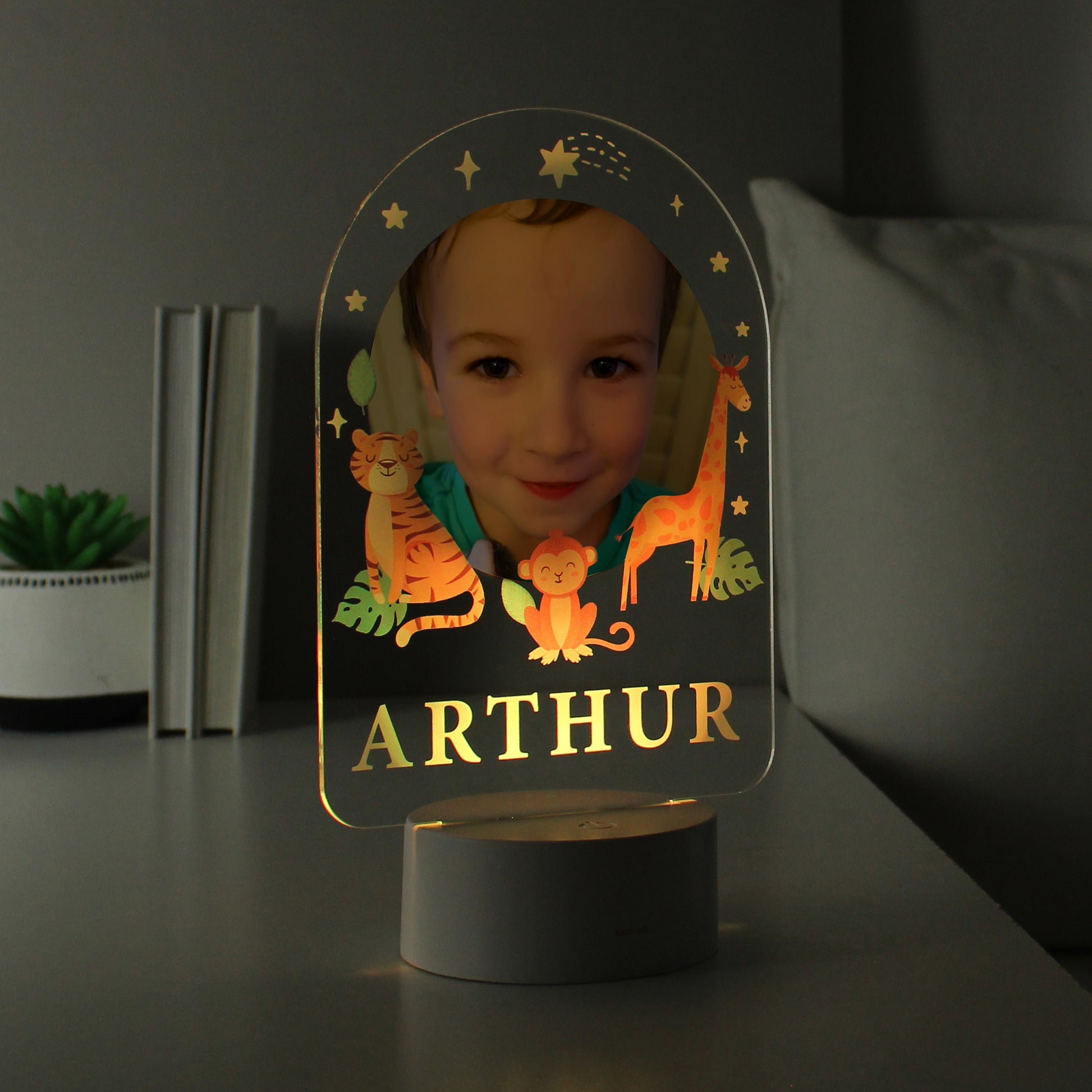 Personalised Animal Photo Upload LED Colour Changing Night Light - image 3