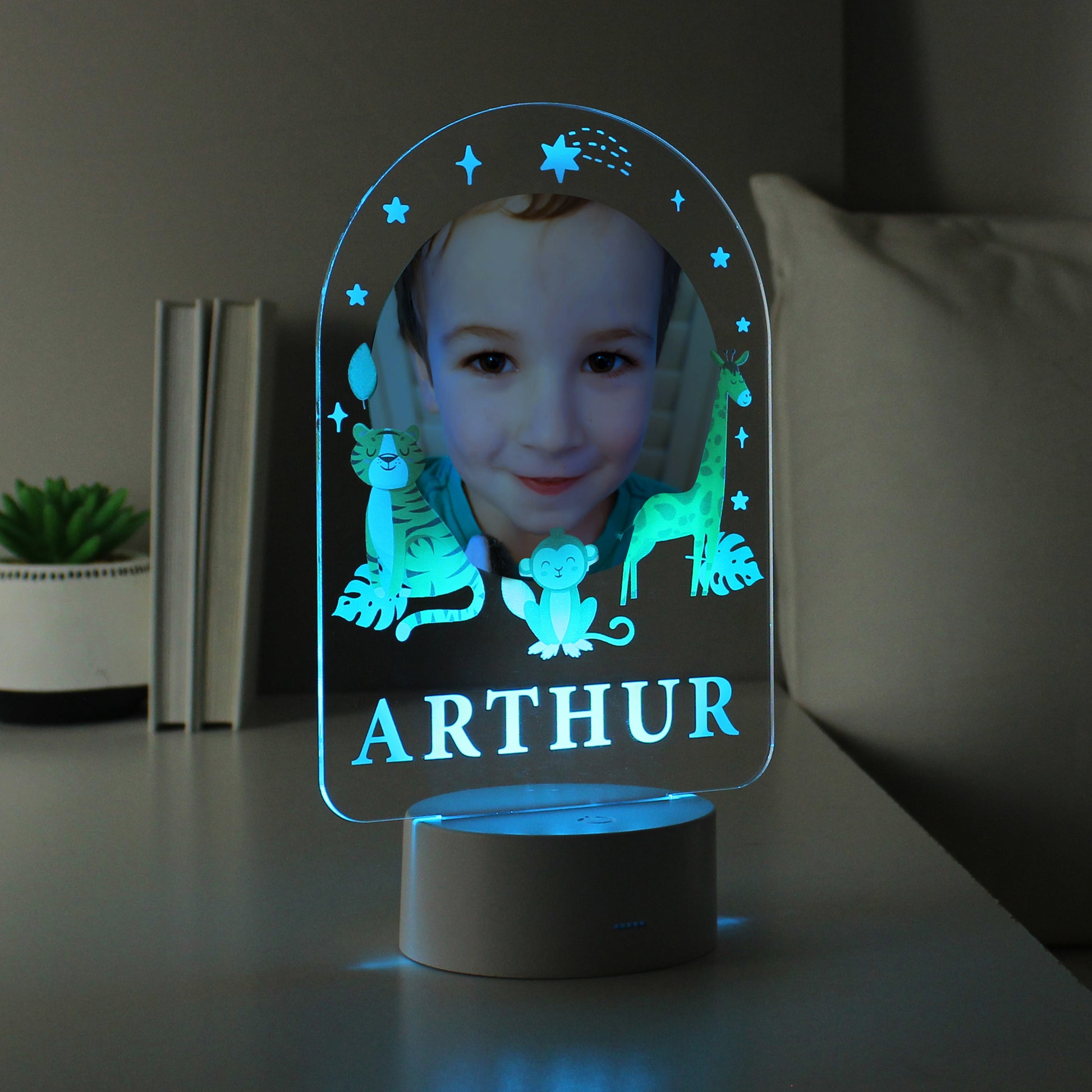 Personalised Animal Photo Upload LED Colour Changing Night Light - image 6