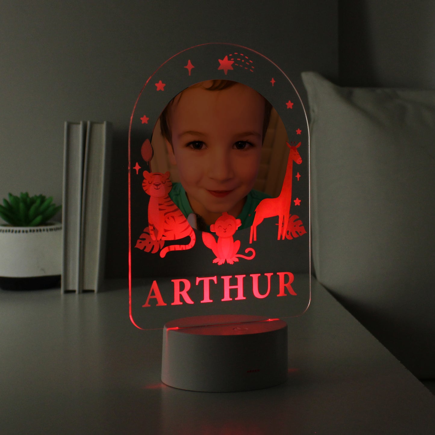 Personalised Animal Photo Upload LED Colour Changing Night Light - image 8