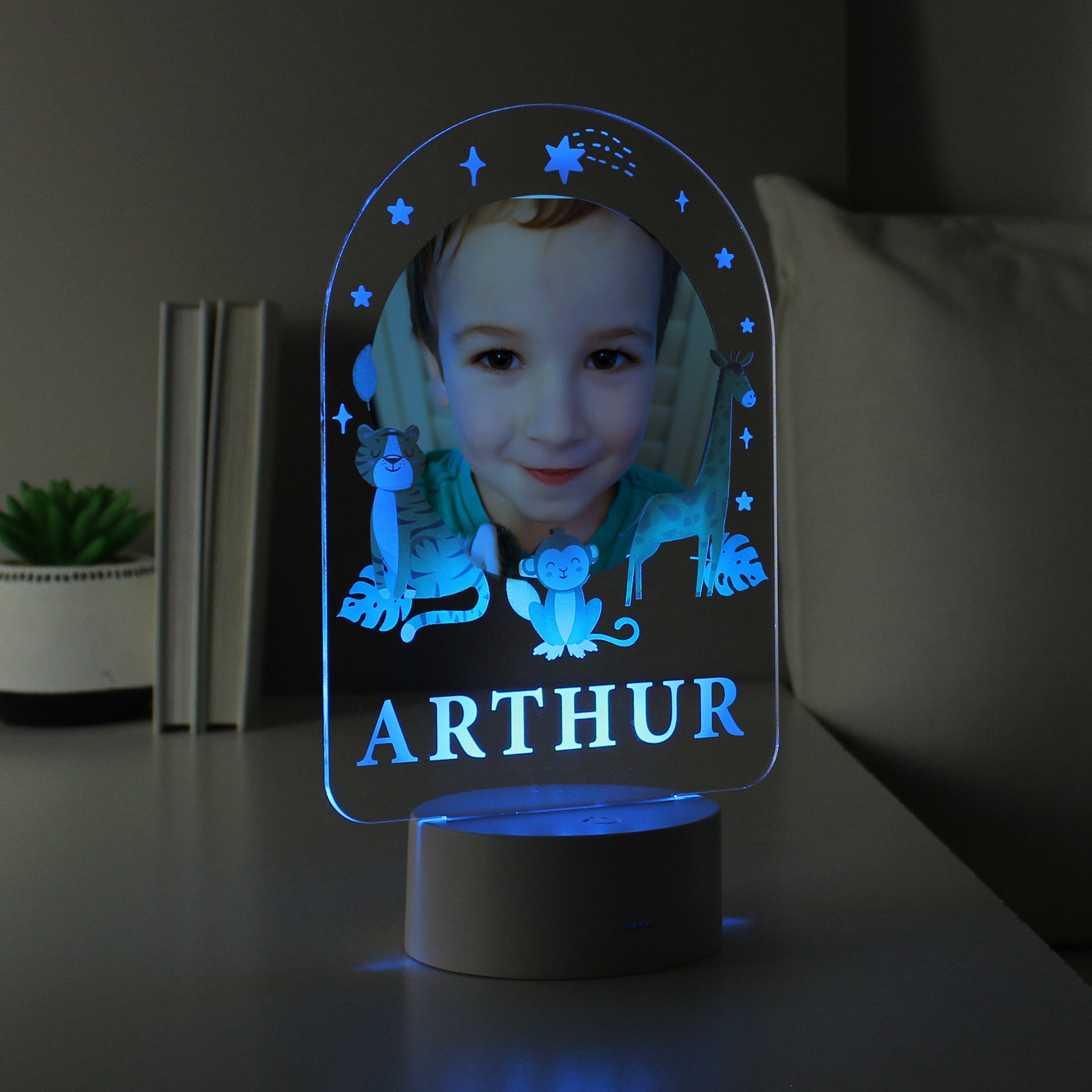 Personalised Animal Photo Upload LED Colour Changing Night Light - image 9