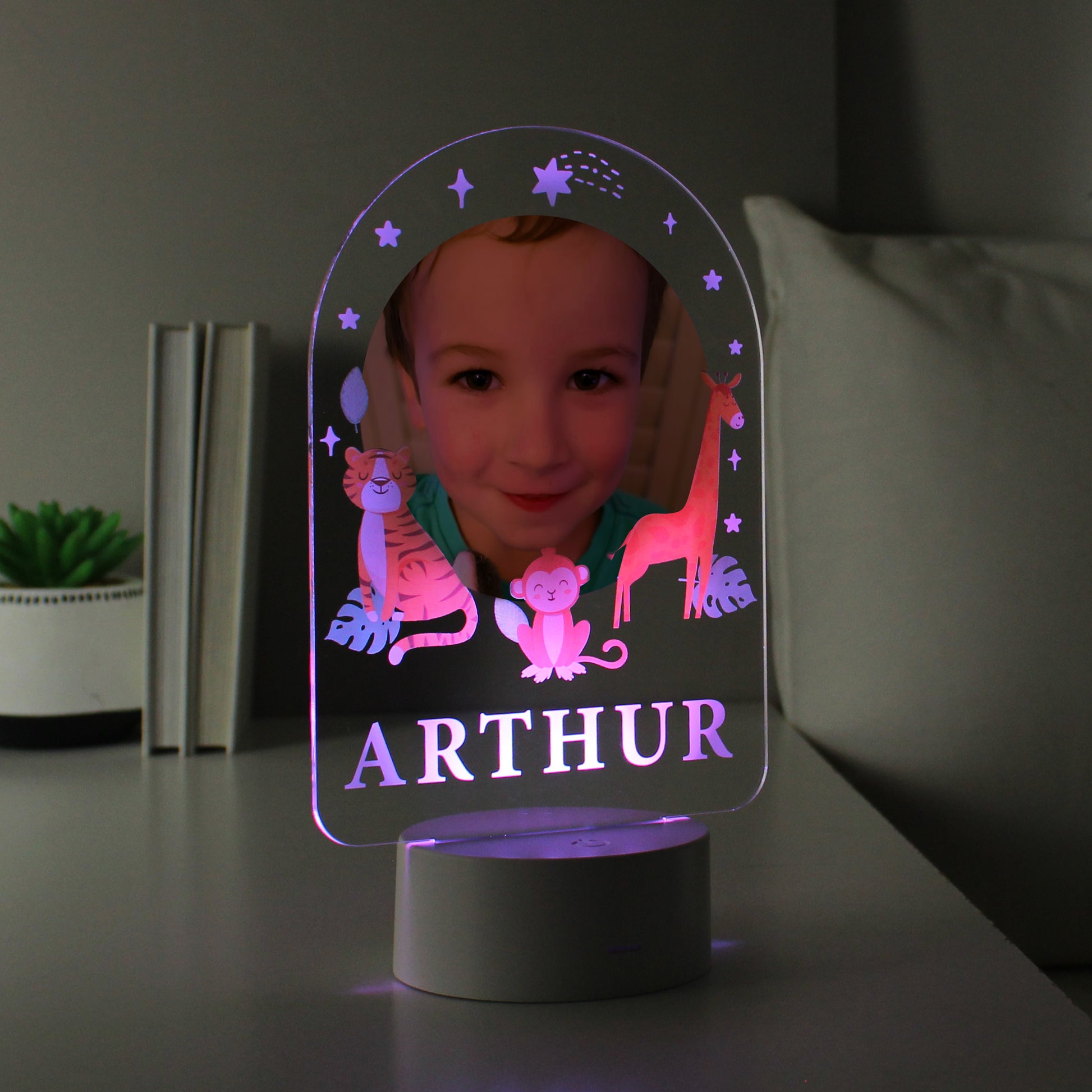 Personalised Animal Photo Upload LED Colour Changing Night Light - image 10