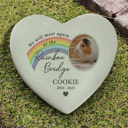 Personalised Pet Rainbow Photo Upload Memorial Resin Heart - image 3