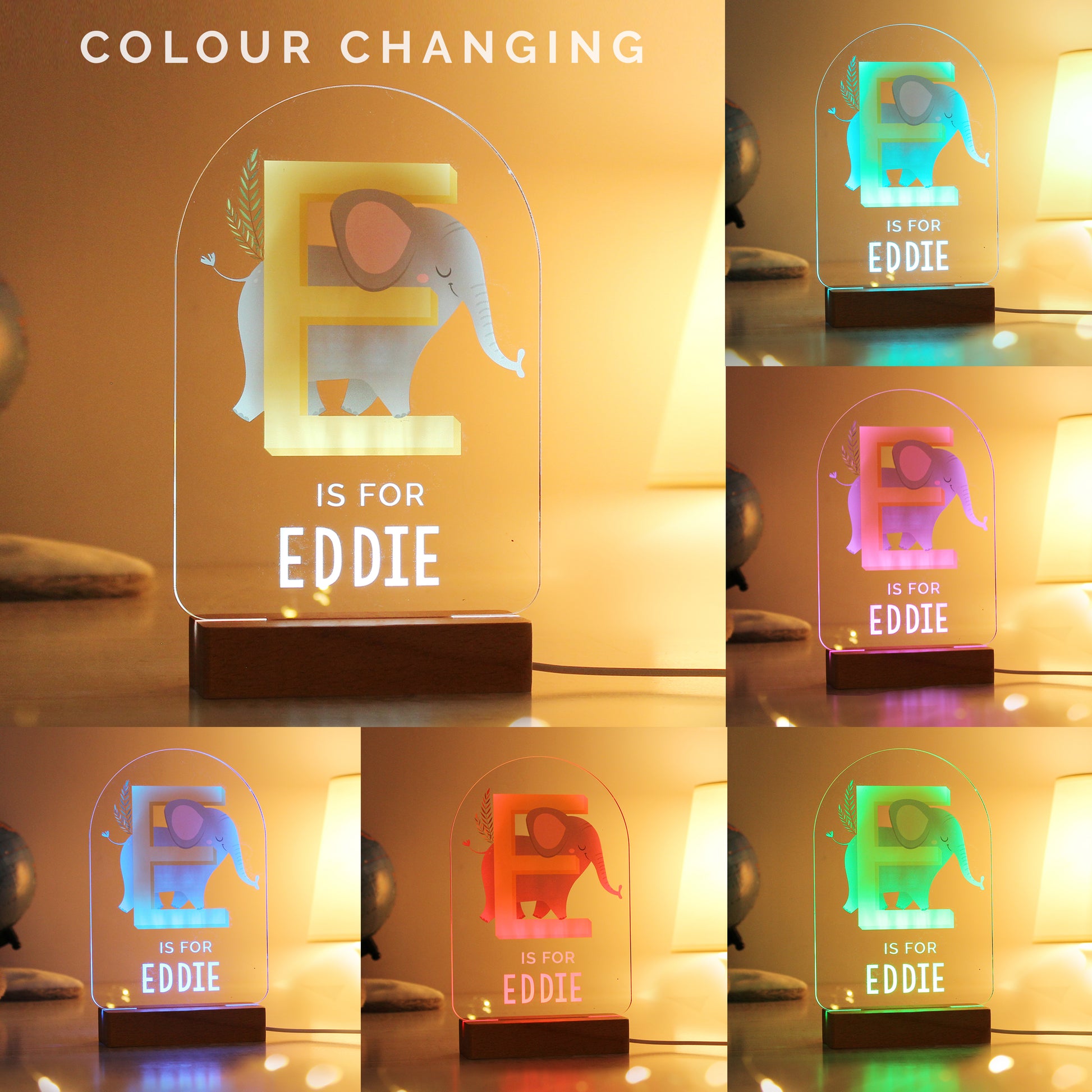 Personalised Animal Alphabet Wooden Based LED Light - image 2