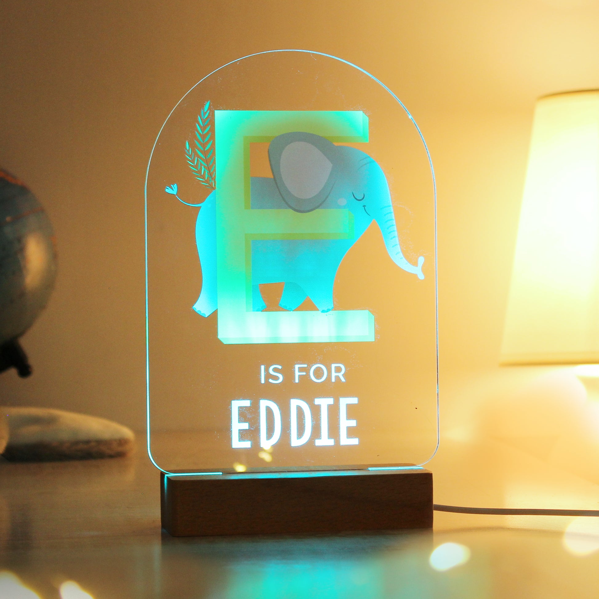 Personalised Animal Alphabet Wooden Based LED Light - image 8