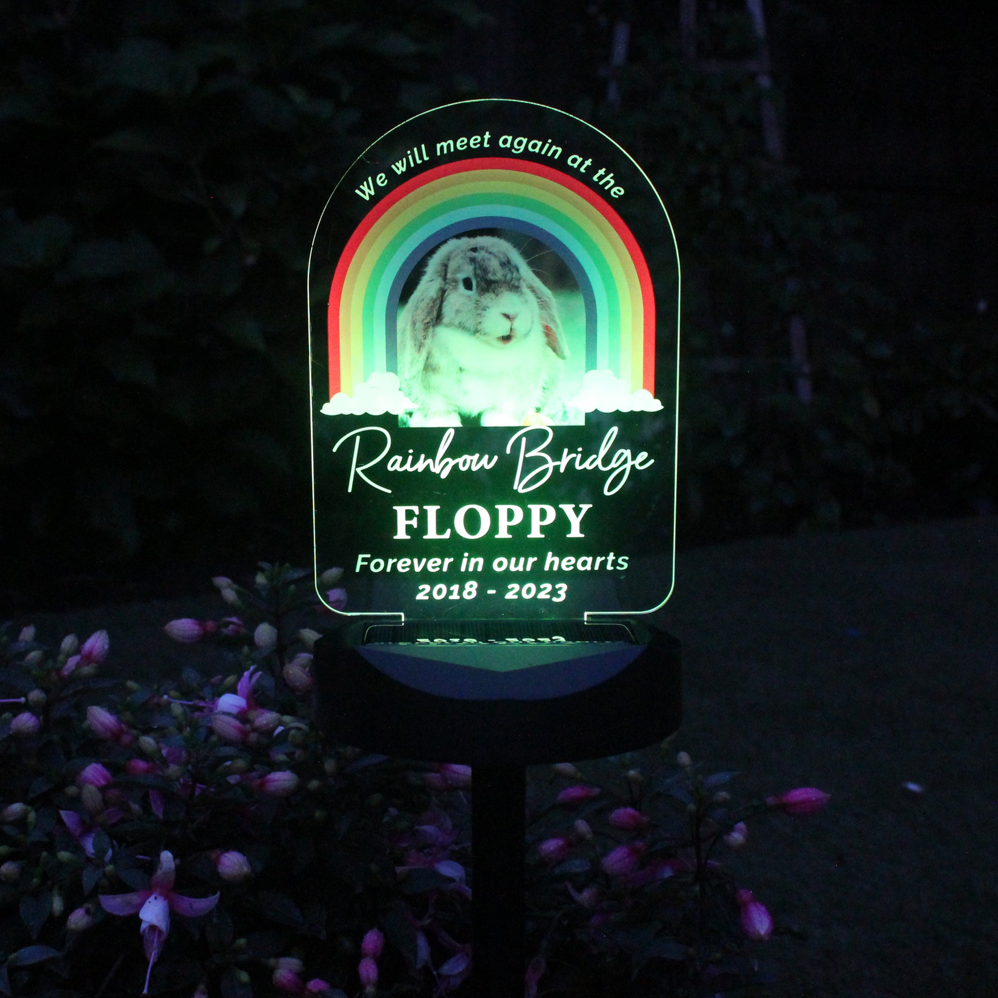 Personalised Pet Memorial Solar Light - image 2