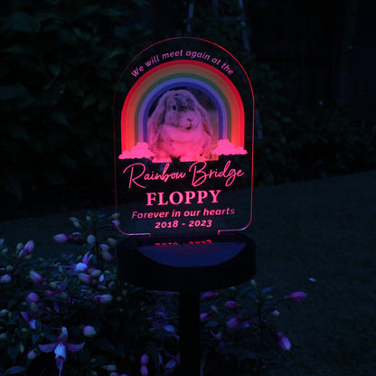 Personalised Pet Memorial Solar Light - image 4