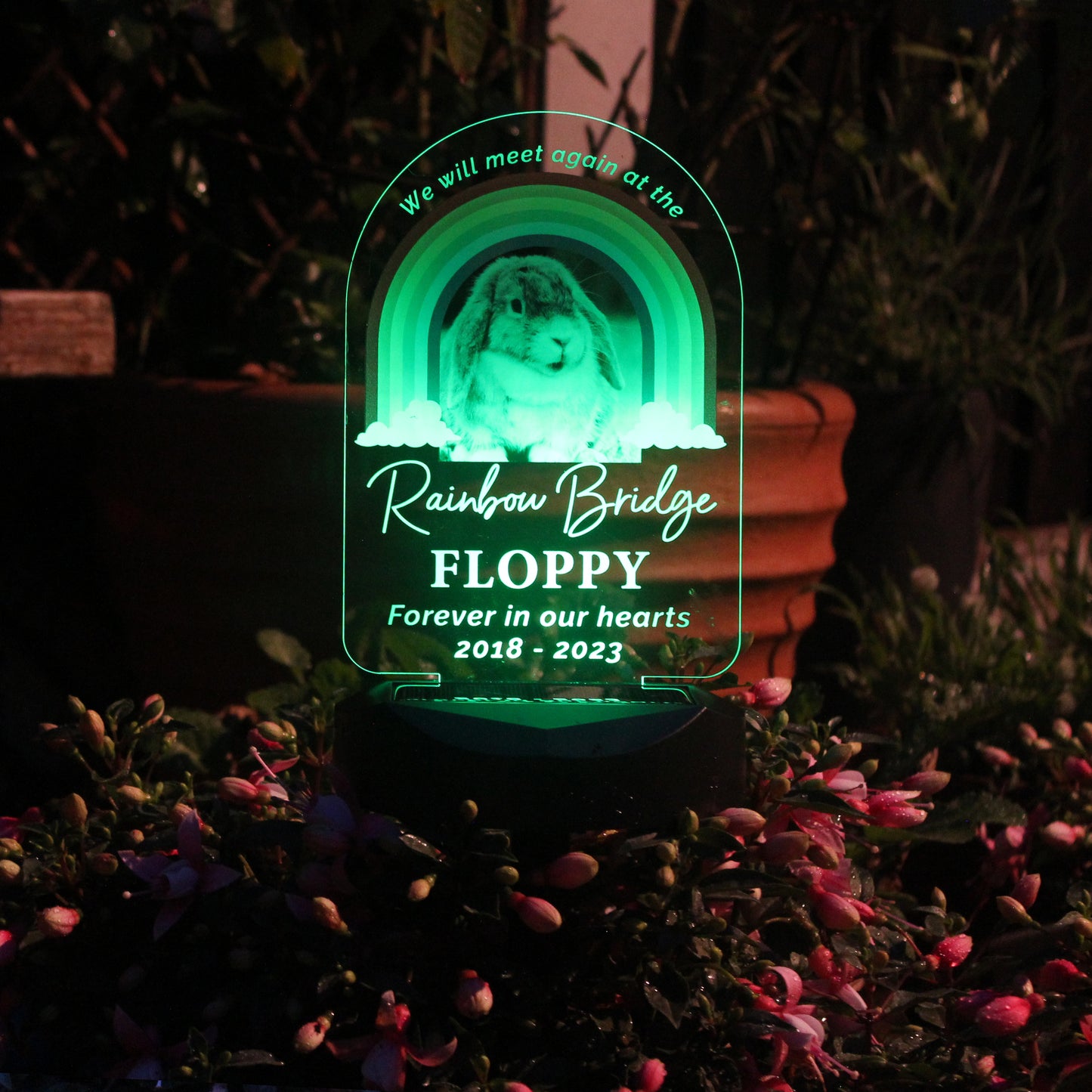 Personalised Pet Memorial Solar Light - image 7