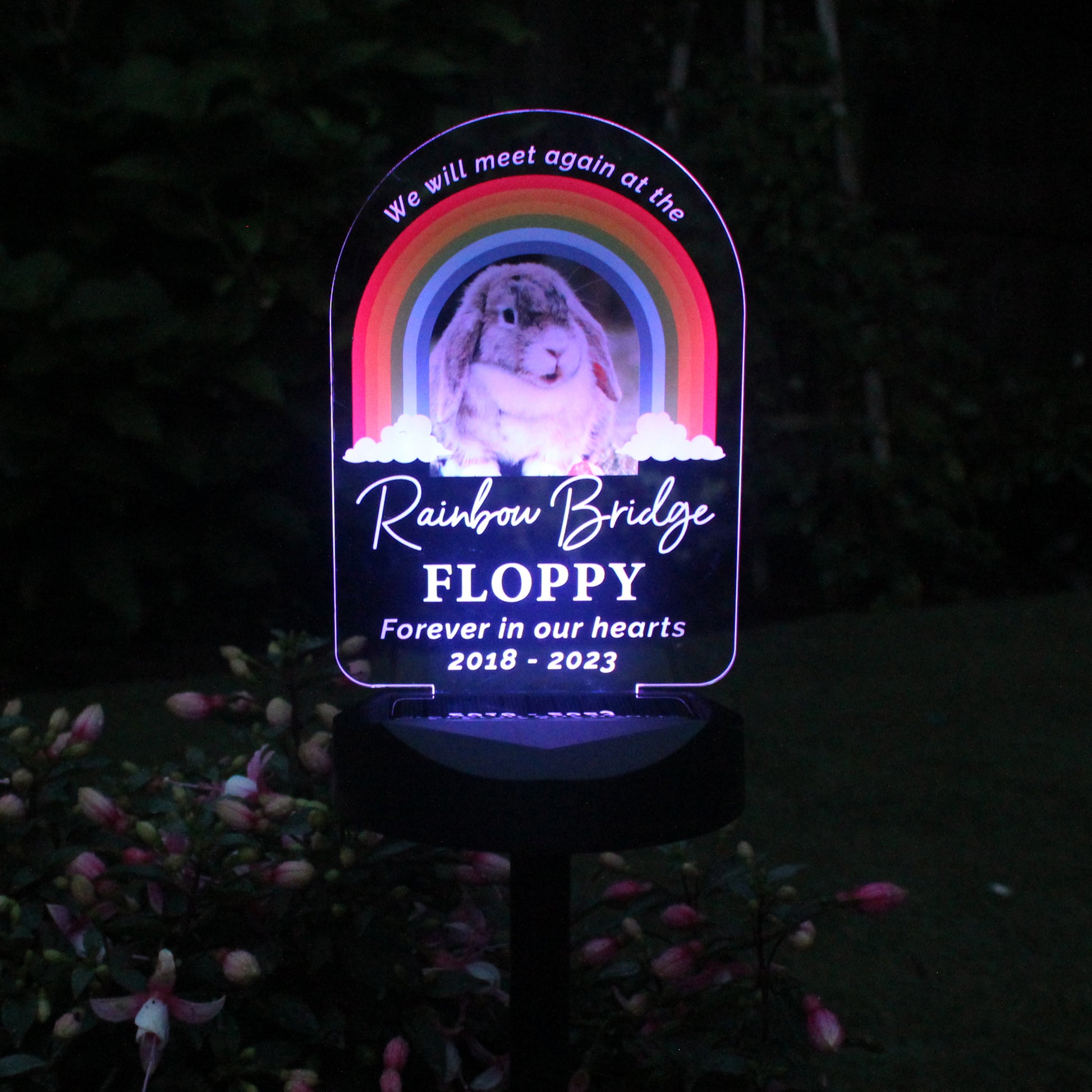 Personalised Pet Memorial Solar Light - image 8