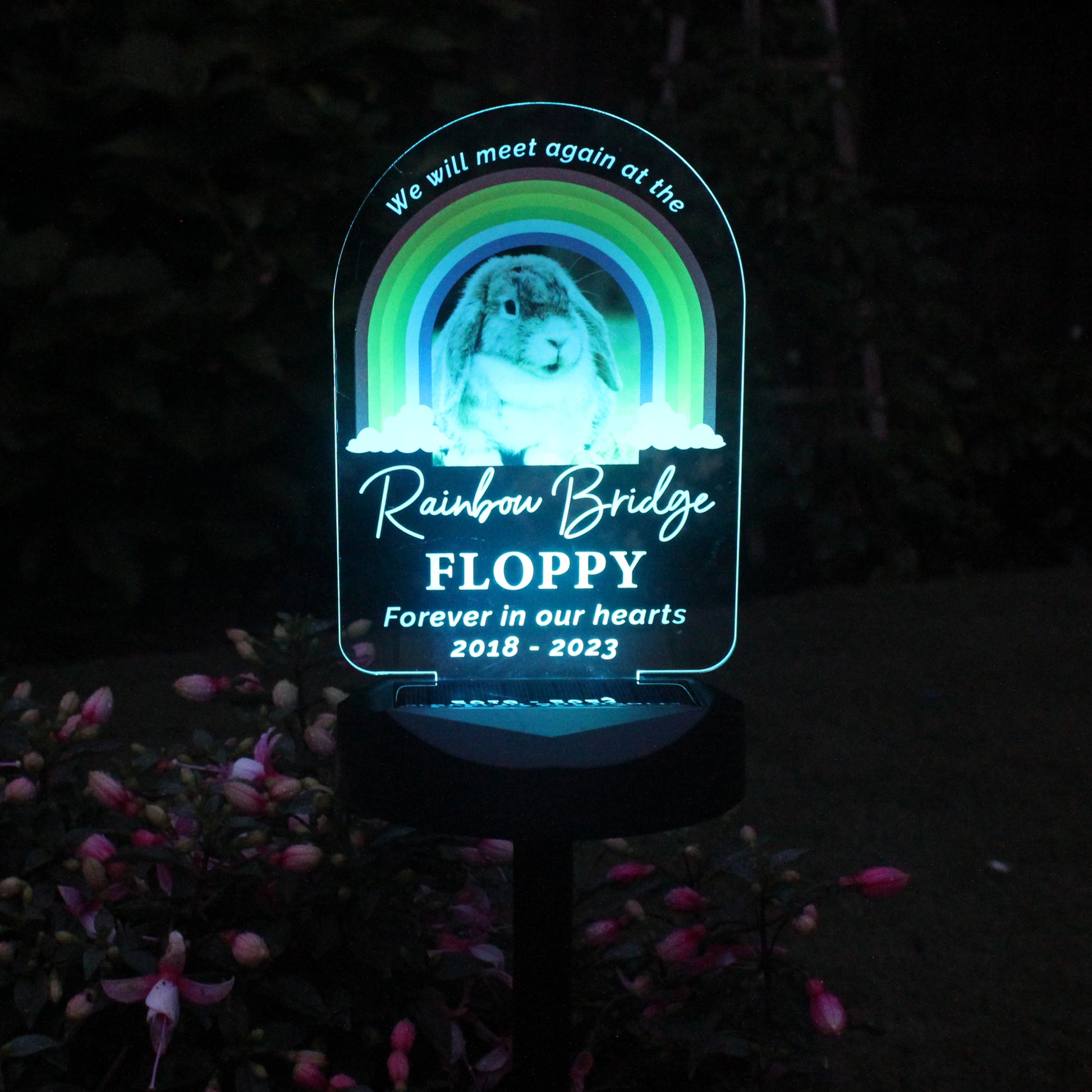 Personalised Pet Memorial Solar Light - image 10