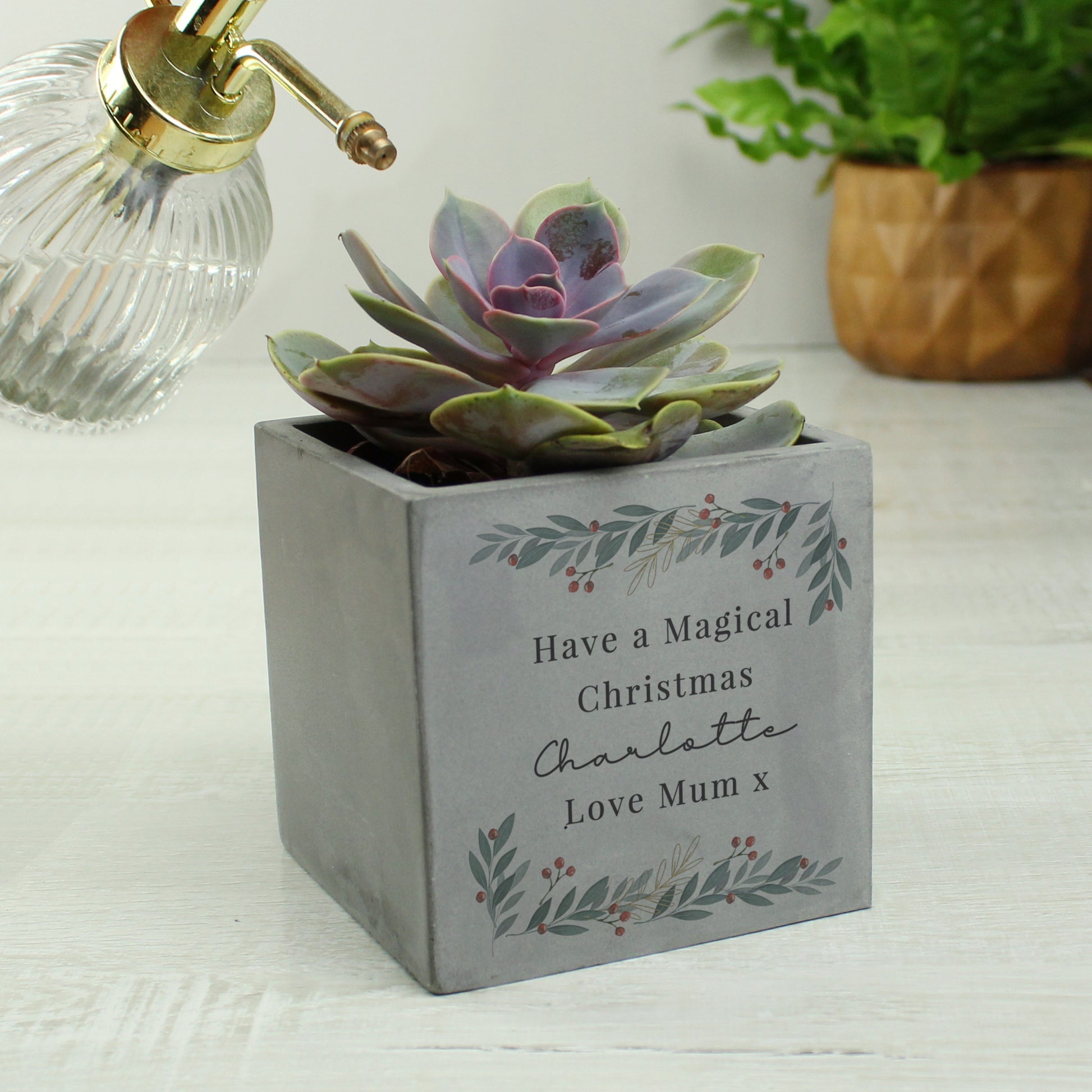 Personalised Christmas Foliage Concrete Planter - image 4