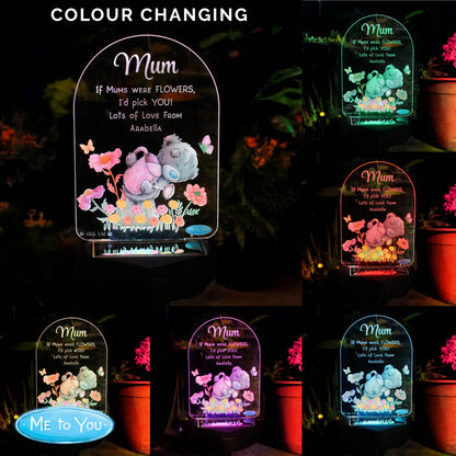 Personalised Me to You Garden LED Solar Light - image 2