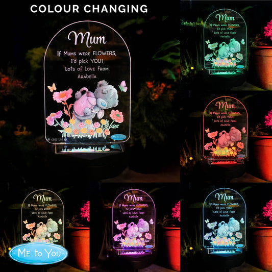 Personalised Me to You Garden LED Solar Light - image 2