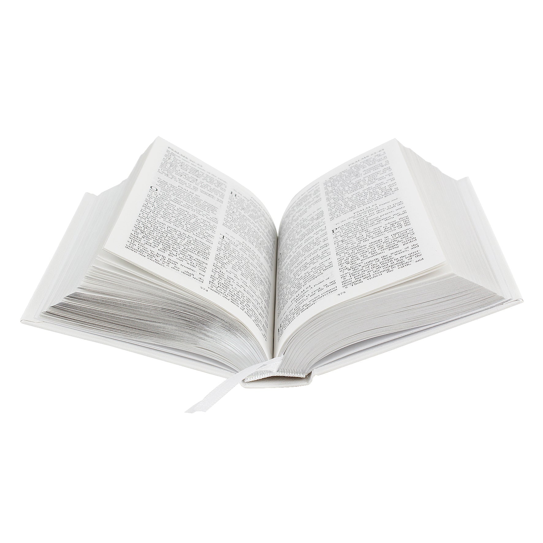 Personalised Silver Companion Holy Bible - Eco-friendly - image 6